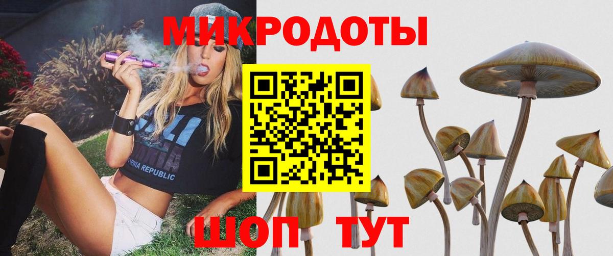 Галлюциногенные грибы Psilocybine cubensis  Галлюциногенные грибы Magic Shrooms  Подольск  Вход с VPN 